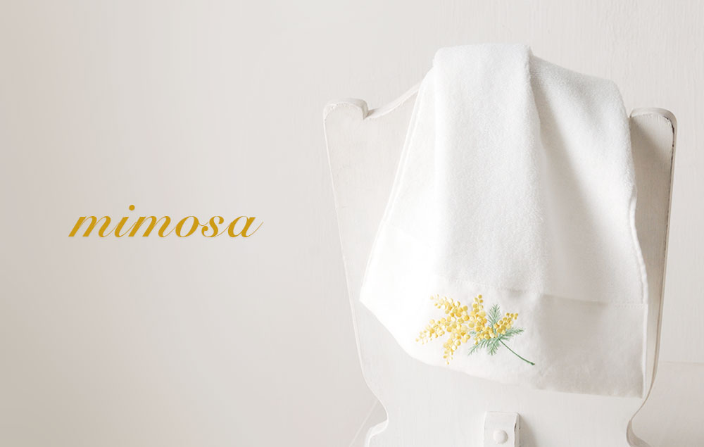 202302mimosa