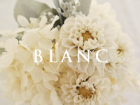 フランジュールのプリザーブドフラワー BLANCシリーズ。